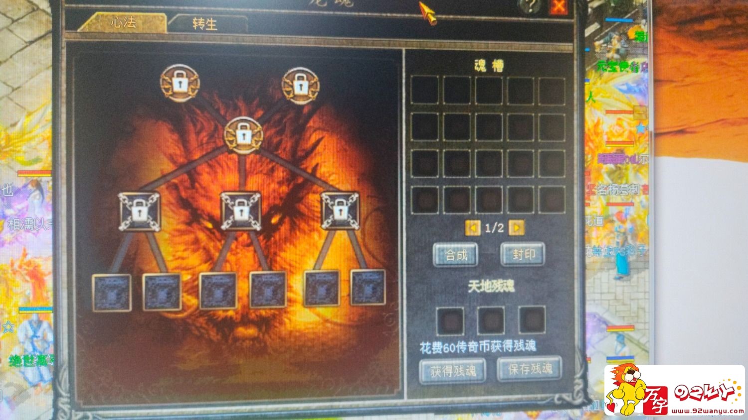 d1.jpg